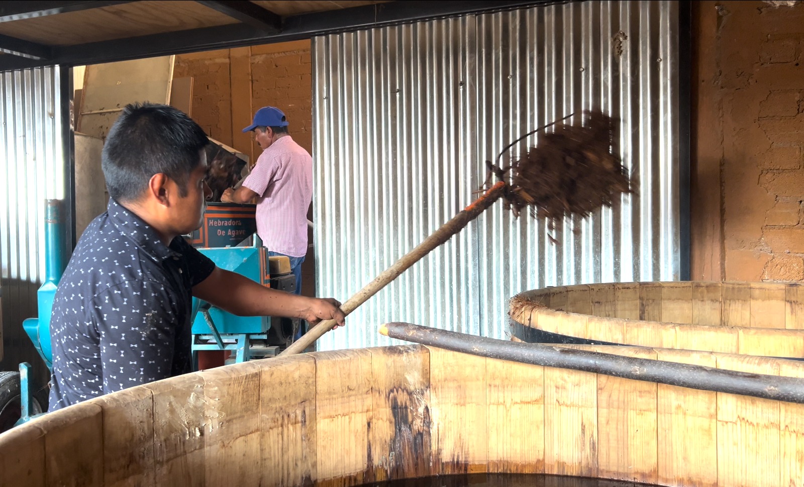 Mezcales de Cata - Galería 13